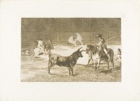The Celebrated Picador, Fernando del Toro, Draws the Fierce Beast on with His Pique, plate 27 from The Art of Bullfighting by Francisco José de Goya y Lucientes