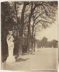 Versailles, Coin de Parc by Jean-Eugène-Auguste Atget