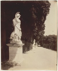 Versailles, Coin de Parc by Jean-Eugène-Auguste Atget