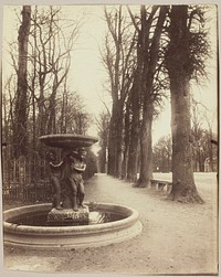 Versailles, Coin de Parc by Jean-Eugène-Auguste Atget