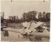 Versailles, Bassin de Neptune by Jean-Eugène-Auguste Atget