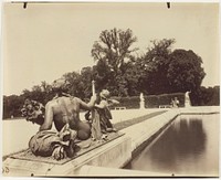 Versailles, Coin de Parc by Jean-Eugène-Auguste Atget