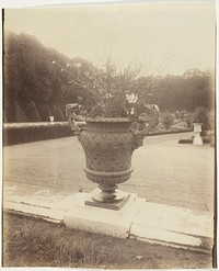 Versailles, Vase par Ballin by Jean-Eugène-Auguste Atget