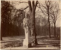 Versailles, Coin de Parc by Jean-Eugène-Auguste Atget