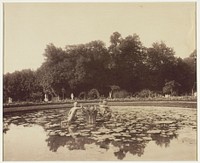 Versailles, Coin de Parc by Jean-Eugène-Auguste Atget