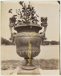 Versailles, Vase par Ballin by Jean-Eugène-Auguste Atget