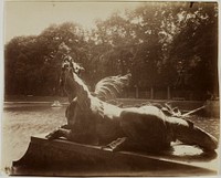 Versailles, Grand Trianon, Dragon par Hardy by Jean-Eugène-Auguste Atget