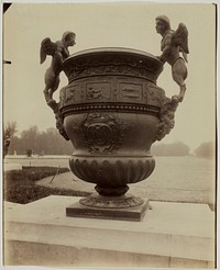 Versailles, Vase par Ballin by Jean-Eugène-Auguste Atget