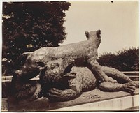 Versailles, Fontaine du Point du Jour, (Tigre Terrassant un Ours par Houzeau) by Jean-Eugène-Auguste Atget