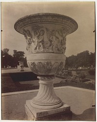 Versailles, Vase by Jean-Eugène-Auguste Atget