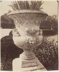 Versailles, Vase by Jean-Eugène-Auguste Atget