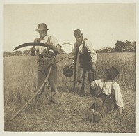 In the Barley-Harvest (Suffolk) by Peter Henry Emerson