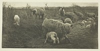 A March Pastoral (Suffolk) by Peter Henry Emerson