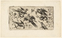 Ornament Panels with Birds: Plate 7 by Adrian Muntink