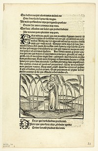 The Man Who Therefore Preached to the Reeds (recto) and The Armed Noble Who Presumed Much but Did Little (verso) from Fabulae et Vita (Fables and Life), Plate 26 from Woodcuts from Books of the 15th Century by Unknown artist (Carver)