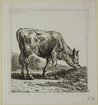 Calf Feeding, from Die Zweite Thierfolge by Johann Christian Reinhart