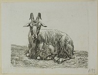 Lying Goat, from Die Zweite Thierfolge by Johann Christian Reinhart