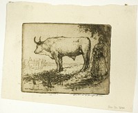 The White Ox by Donald Shaw MacLaughlan