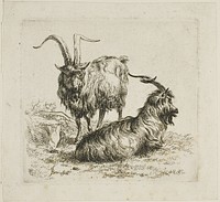 Two Goats with Large Horns, from Various Animals by Nicolaes Berchem