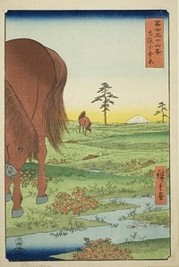 Kogane Plain in Shimosa Province (Shimosa Koganehara), from the series "Thirty-six Views of Mount Fuji (Fuji sanjurokkei)" by Utagawa Hiroshige