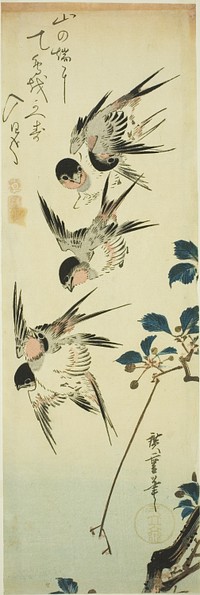 Swallows and flowering branch by Utagawa Hiroshige