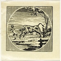 Book Illustration by Thomas Bewick