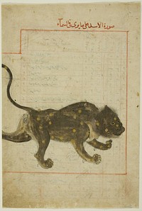 The Constellation Leo, folio probably from the Kitab suwar al-kawakib al-thabita (Book of the Images of the Fixed Stars) by Islamic