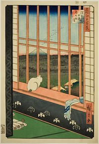 Asakusa Rice Fields and Torinomachi Festival (Asakusa tanbo Torinomachi mode), from the series "One Hundred Famous Views of Edo (Meisho Edo hyakkei)" by Utagawa Hiroshige