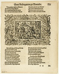 Illustration from Heldenbuch, plate 32 from Woodcuts from Books of the XVI Century by Virgilius Solis, the Elder