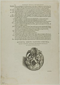 Leaf from De humani corporis fabrica (skull), plate 100 from Woodcuts from Books of the XVI Century by Jan Stephan van Calcar