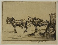 Two Horses by Donald Shaw MacLaughlan