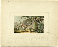 Doctor Syntax Pursued by a Bull, from The Tour of Doctor Syntax by Thomas Rowlandson