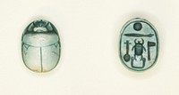 Scarab: Aakheperkara (Thutmose I) by Ancient Egyptian