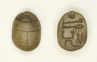 Scarab: Aakheperkara (Thutmose I) by Ancient Egyptian