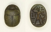 Scarab: Menkheperra (Thutmose III) by Ancient Egyptian