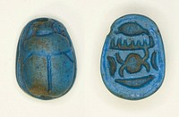 Scarab: Menkheperra (Thutmose III) by Ancient Egyptian