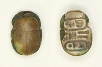 Scarab: Menkheperra (Thutmose III) by Ancient Egyptian