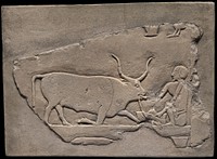 Wall Fragment from a Tomb Depicting a Herdsman by Ancient Egyptian