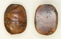 Scarab: Uninscribed by Ancient Egyptian