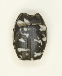 Scarab: Uninscribed by Ancient Egyptian