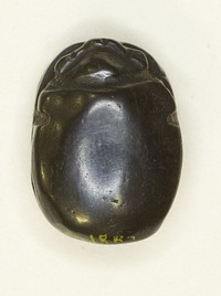 Scarab: Uninscribed by Ancient Egyptian