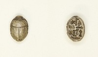 Scarab: Title and Personal Name (?) by Ancient Egyptian