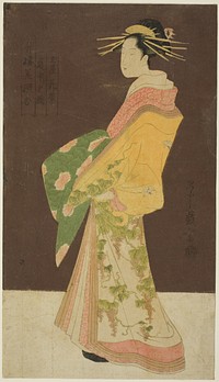 A Selection of Beauty from the Pleasure Quarters (Seiro bisen awase): Hanamurasaki of the Tamaya in Procession (Tamaya Hanamurasaki dochu no zu) by Chôbunsai Eishi