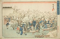 The Plum Garden at Komeido (Kameido ume yashiki no zu), from the series "Famous Places in the Eastern Capital (Toto meisho)" by Utagawa Hiroshige