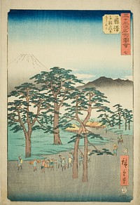 Fujisawa: Mount Fuji on the Left from the Nanki Pine Grove (Fujisawa, Nanki no Matsubara hidari no Fuji), no. 7 from the series "Famous Sights of the Fifty-three Stations (Gojusan tsugi meisho zue)," also known as the Vertical Tokaido by Utagawa Hiroshige