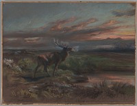 The Call of the Stag by Rosa Bonheur