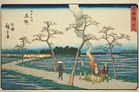 Shono—No. 46, from the series "Fifty-three Stations of the Tokaido (Tokaido gojusan tsugi)," also known as the Reisho Tokaido by Utagawa Hiroshige