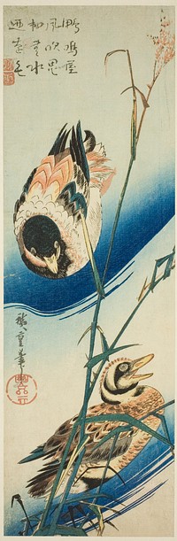 Two Ducks Swimming Among Reeds by Utagawa Hiroshige