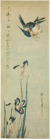 Kingfisher and iris by Utagawa Hiroshige