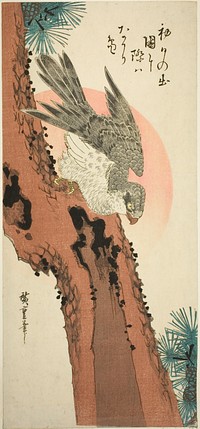 Falcon on a Pine Tree with the Rising Sun by Utagawa Hiroshige